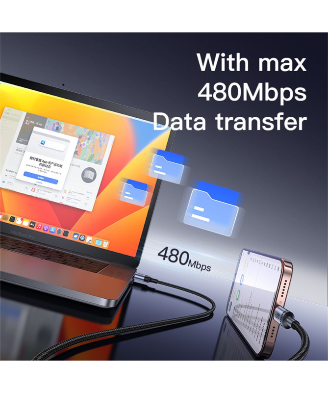 VOLT-LINK | Câble USB-C vers USB-C 60W, charge rapide 2M