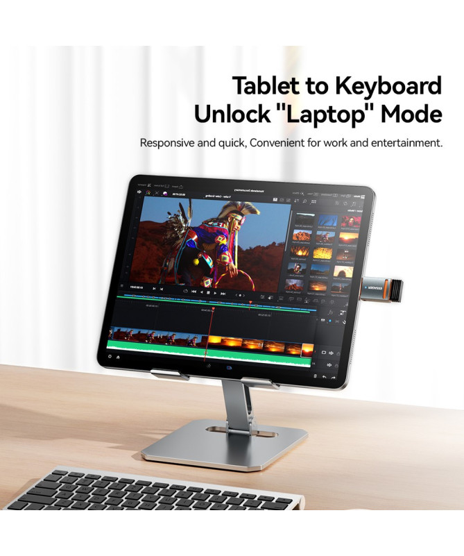 Adaptateur Type-C vers Micro USB