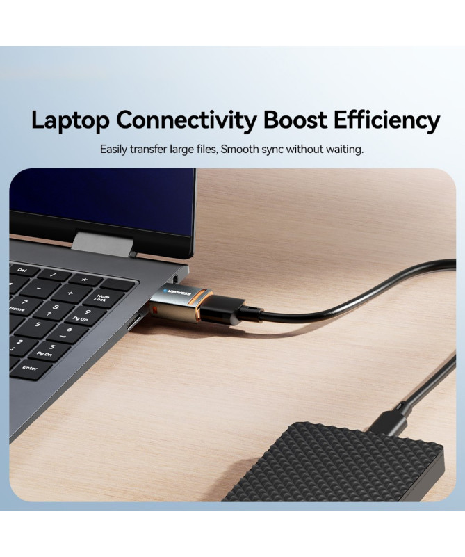Adaptateur Type-C Femelle vers USB Mâle
