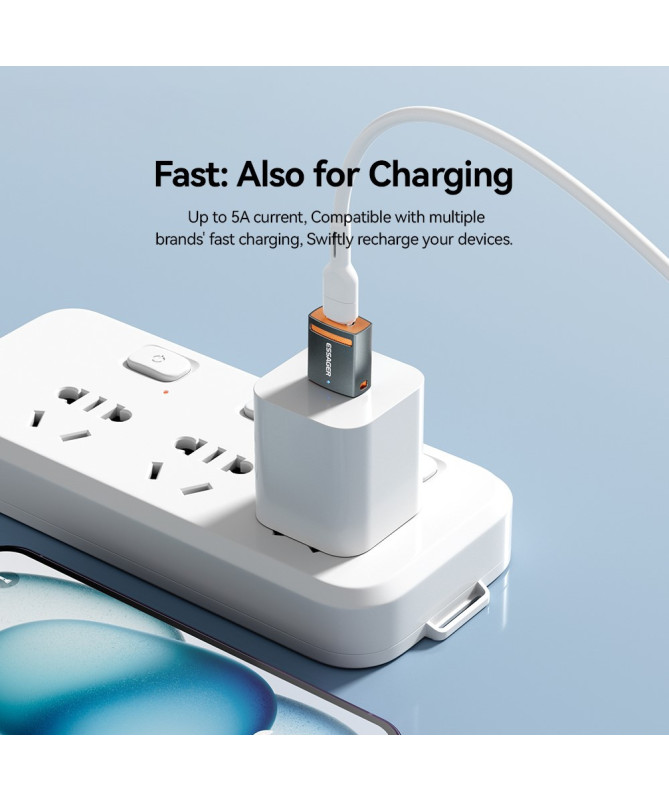 Adaptateur Type-C Femelle vers USB Mâle