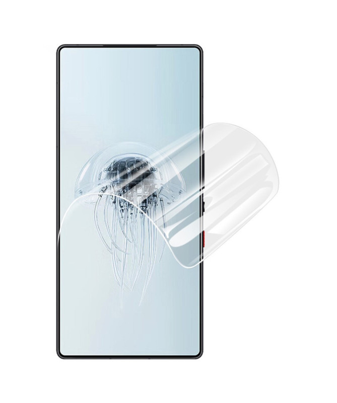 Protection d'écran Redmagic 10 Pro en hydrogel (2 pièces)