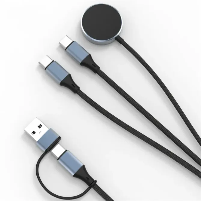 Câble multi-charge 100W | USB-C