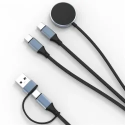 Câble multi-charge 100W | USB-C