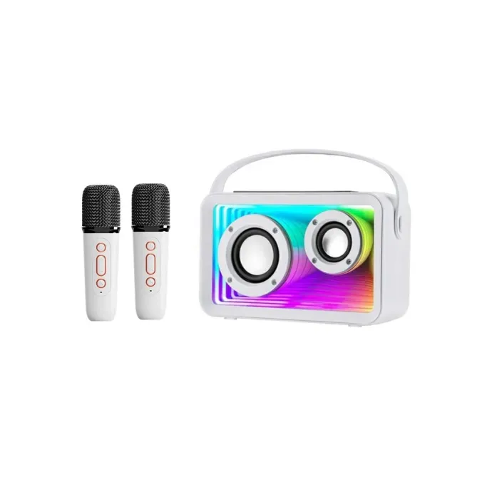 Enceinte karaoke mini 2 micros | RGB & BT 5.3
