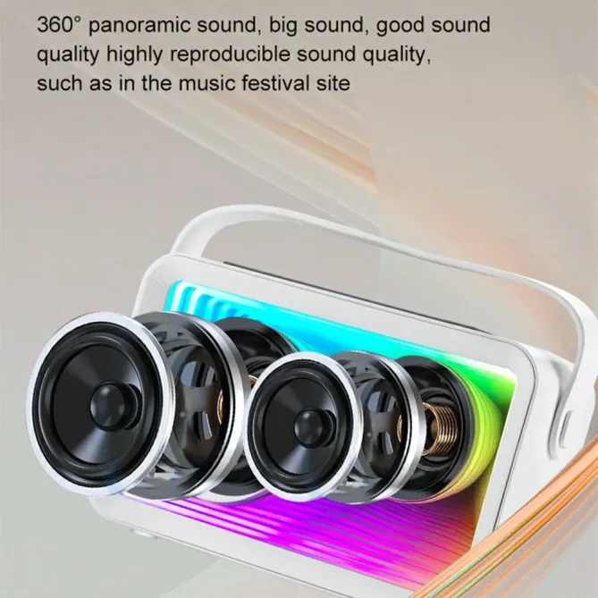 Enceinte karaoke mini 2 micros | RGB & BT 5.3