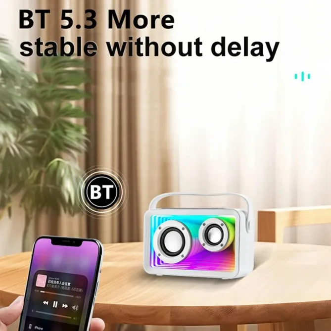 Enceinte karaoke mini 2 micros | RGB & BT 5.3