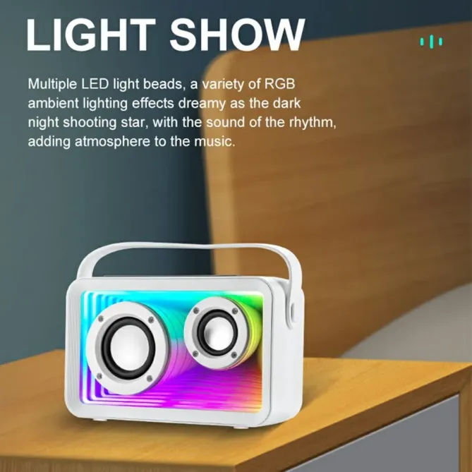 Enceinte karaoke mini 2 micros | RGB & BT 5.3