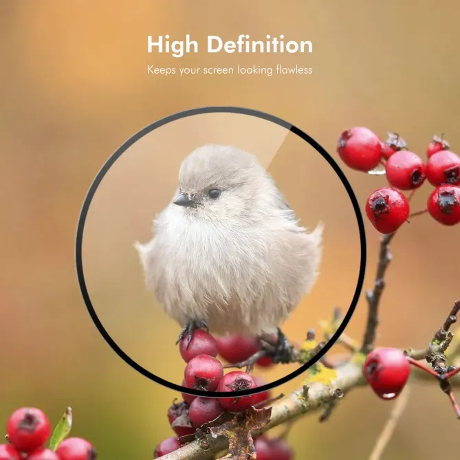 Film Samsung Galaxy Watch8 Classic 46mm 3D ultra clair