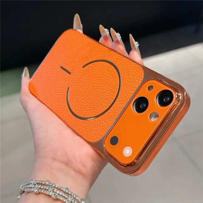 Coque iPhone 13 transformation iPhone 17 Pro cuir litchi