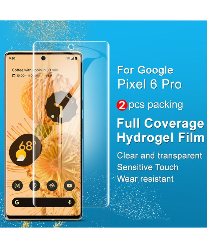 Protection d'écran Google Pixel 6 Pro en hydrogel (2 pièces)